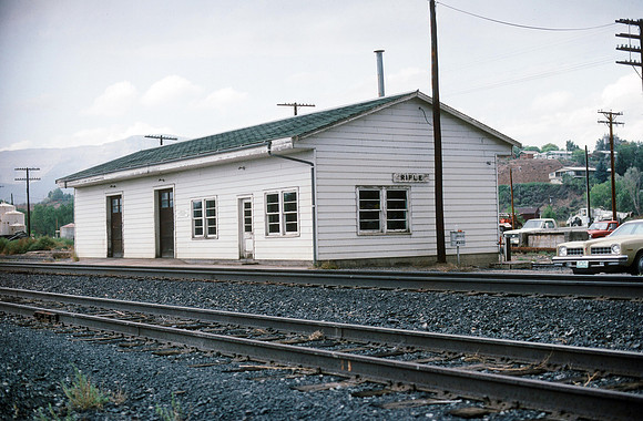 Slide 514-37