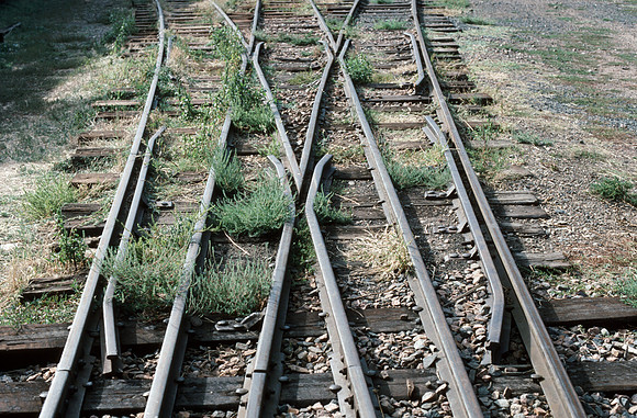 Slide 515-15