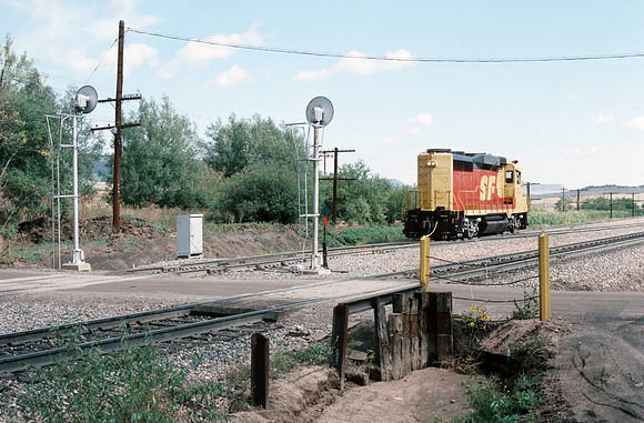 Slide 515-24