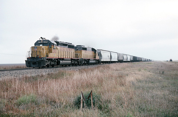 Slide 516-07