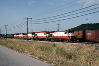 Slide 313-25