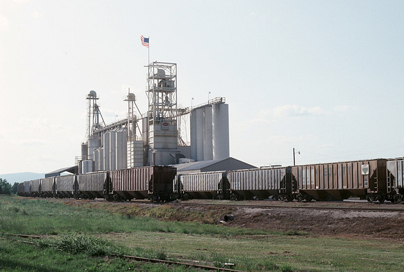 Slide 575-11