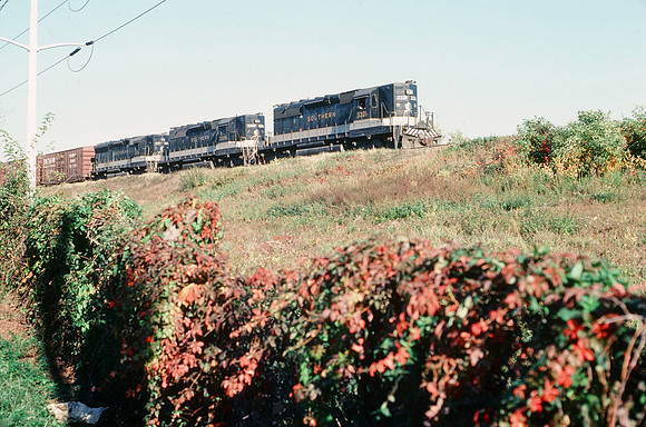 Slide 315-33