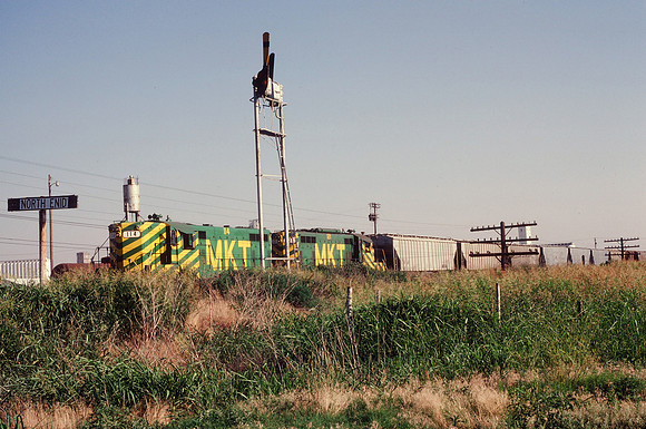 Slide 313-09