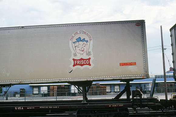 Slide 312-06