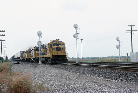 Slide 565-11