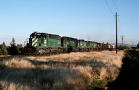Slide 487-29