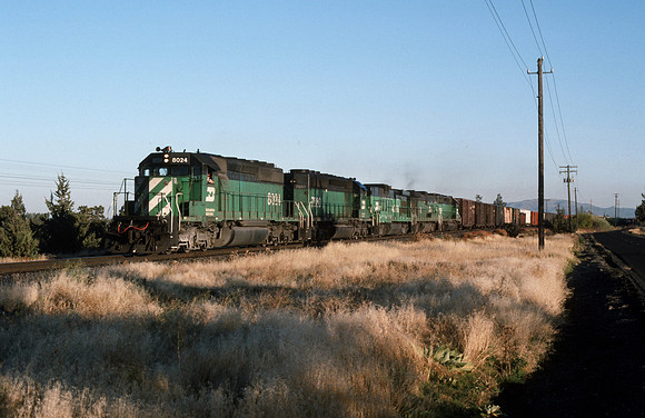 Slide 487-29