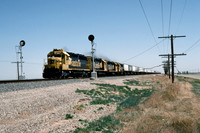 Slide 529-07