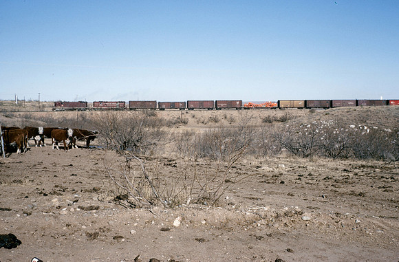 Slide 093-14