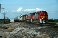 Slide D195-13