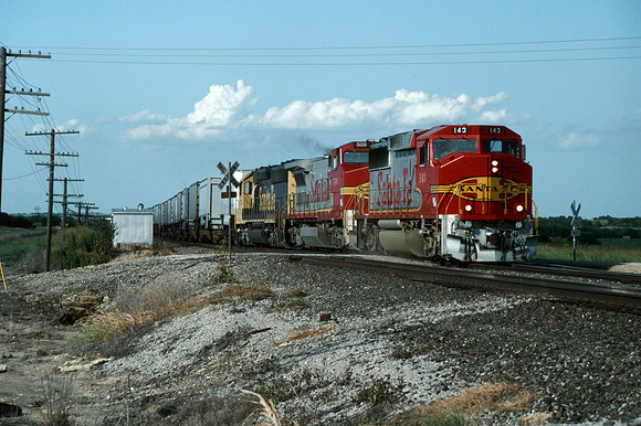 Slide D195-13